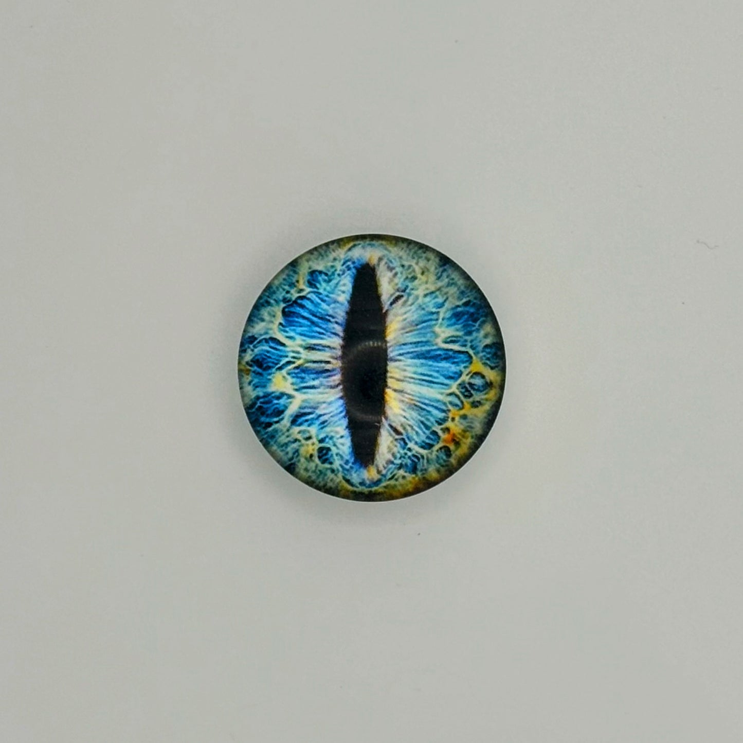 Reptile Eyes
