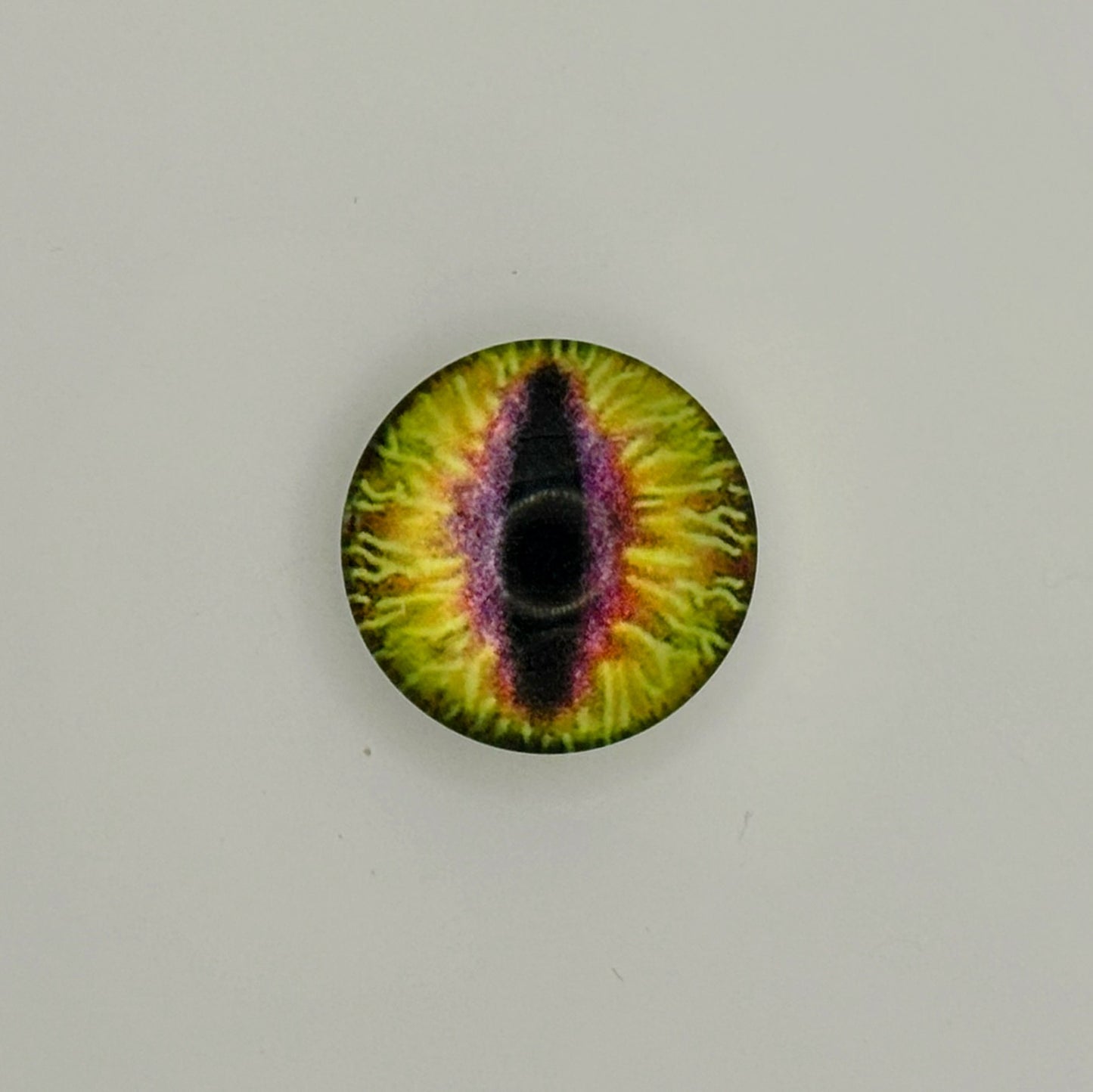 Reptile Eyes