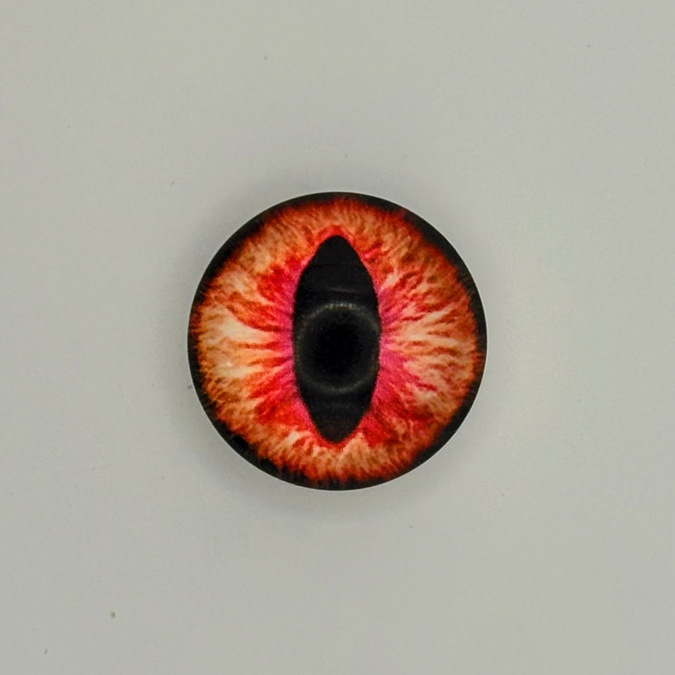 Reptile Eyes