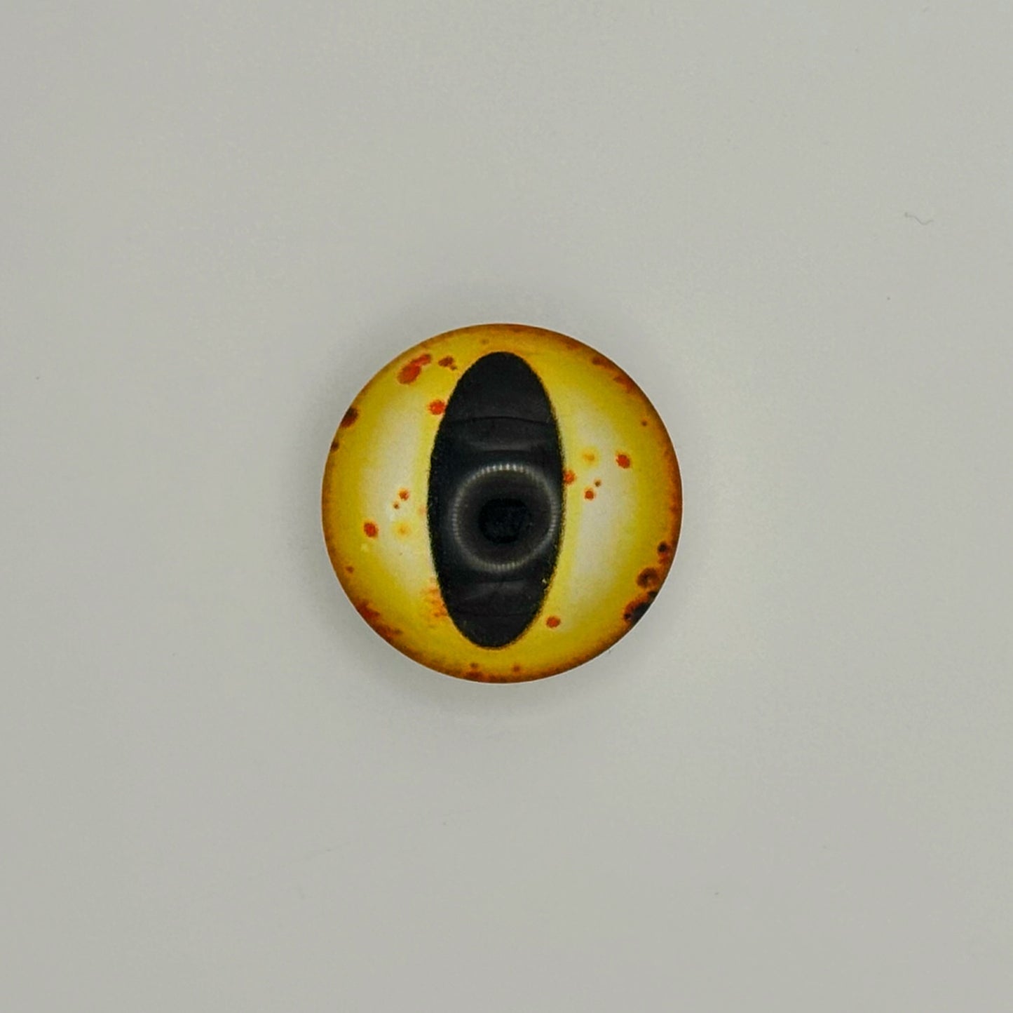 Reptile Eyes