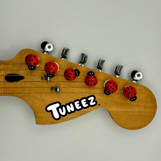 Ladybug